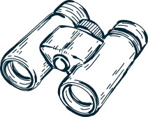 Illustration of a pair of binoculars.